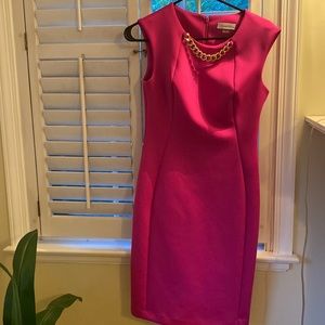 Hot Pink Calvin Klein Sheath Dress | Size 4